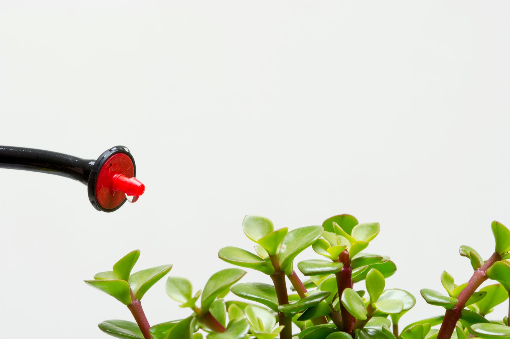 Smart Irrigation City of Santa Barbara